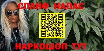 стафф Шебекино